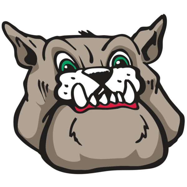 AR BDOG 27 RC Thumbnail