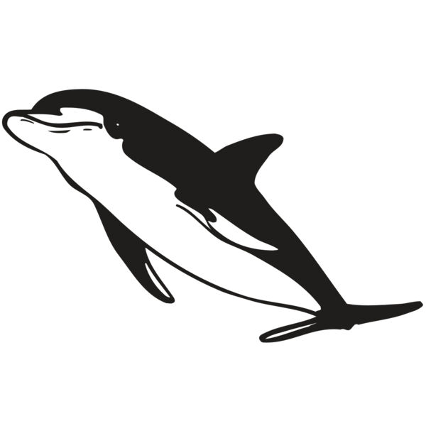 AR DOLPIN 13 RC Thumbnail