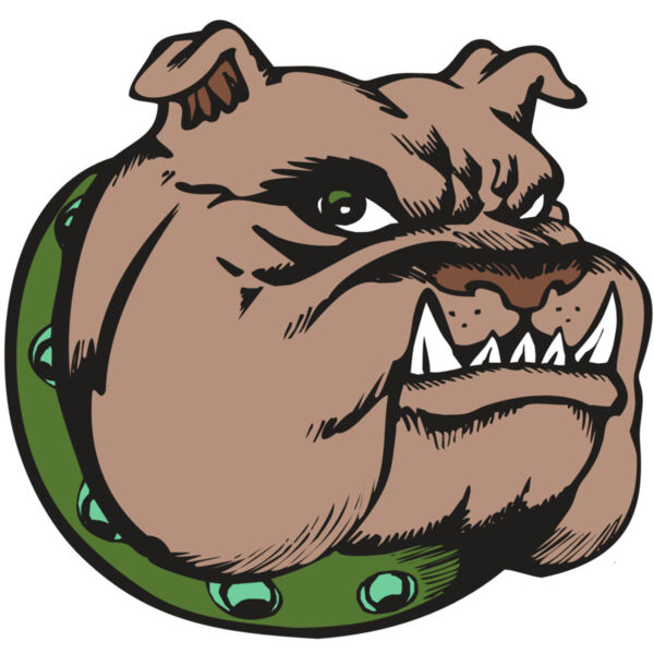 BAW BULLDOG 14 RC Thumbnail