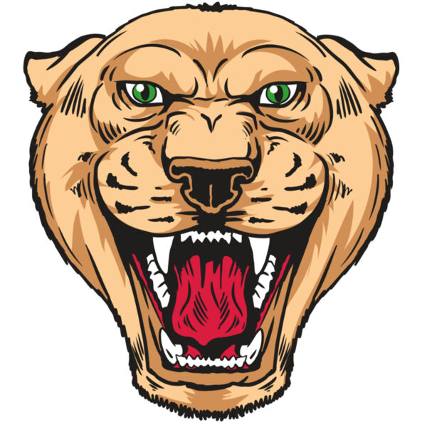 AR13 PNTHR 01 RQC Thumbnail