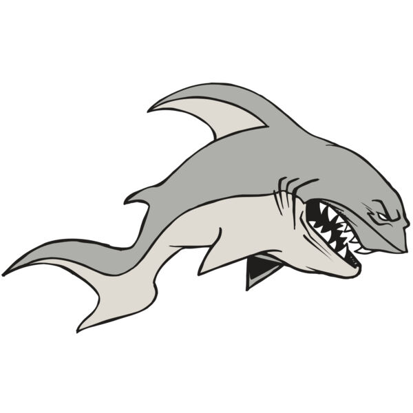 AR5 Shark 10 RQC Thumbnail