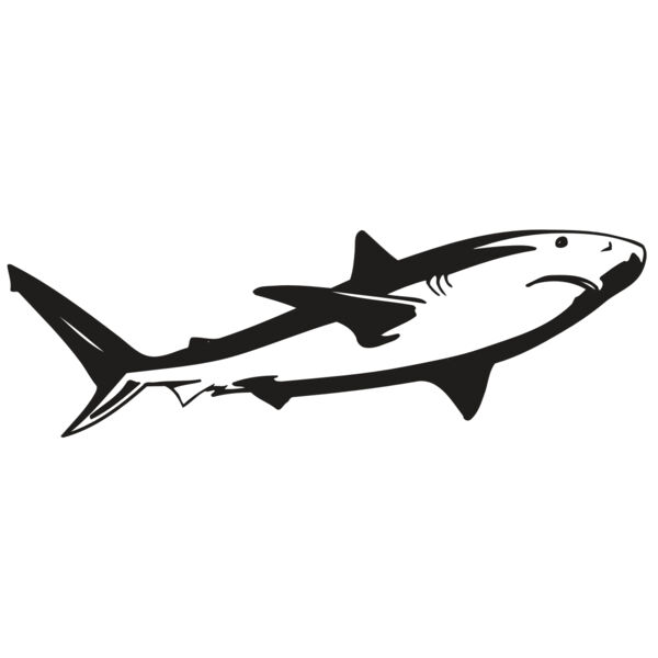 AR5 Shark 15 RQC Thumbnail